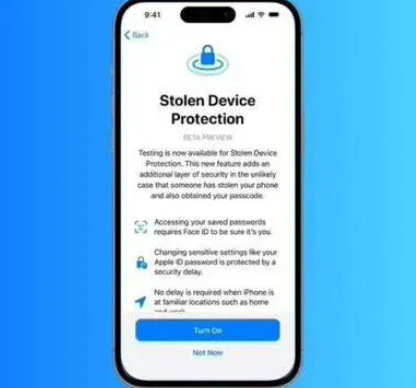 龙安苹果授权维修店分享被盗设备保护功能开启方法