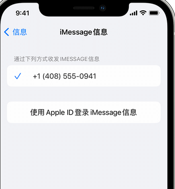 龙安apple维修iPhone上无法正常发送iMessage信息 