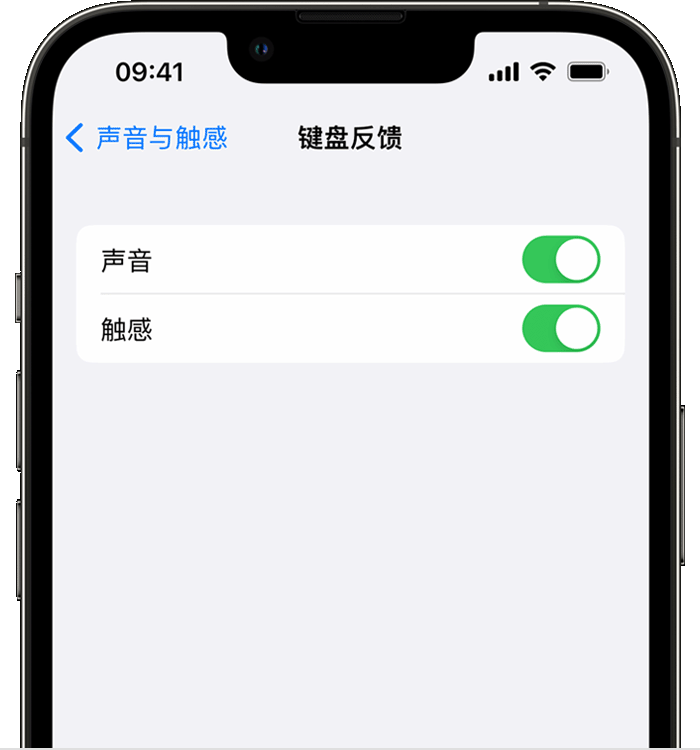 龙安苹果14维修店分享如何在 iPhone 14 机型中使用触感键盘 