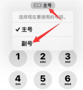 龙安苹果14维修店分享iPhone 14 Pro Max使用副卡打电话的方法 