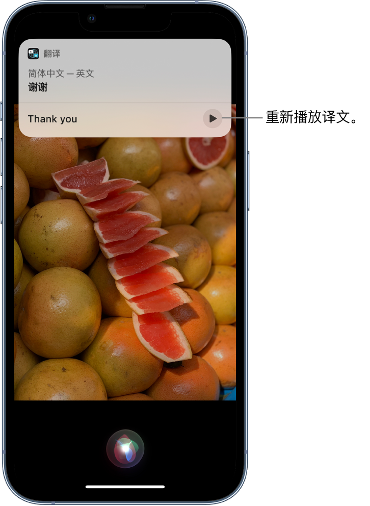 龙安苹果14维修分享 iPhone 14 机型中使用 Siri：了解 Siri 能帮你做什么 