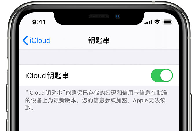 龙安苹果手机维修分享在 iPhone 上开启 iCloud 钥匙串之后会储存哪些信息 