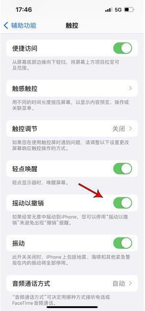 龙安苹果手机维修分享iPhone手机如何设置摇一摇删除文字 