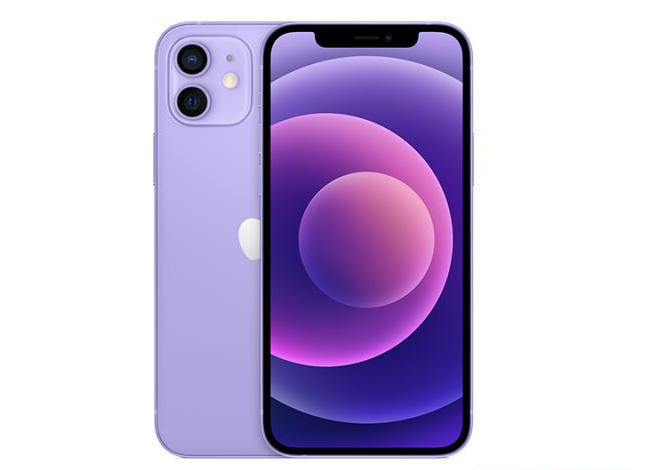 龙安苹果手机维修分享现阶段要不要入手紫色版iPhone12 